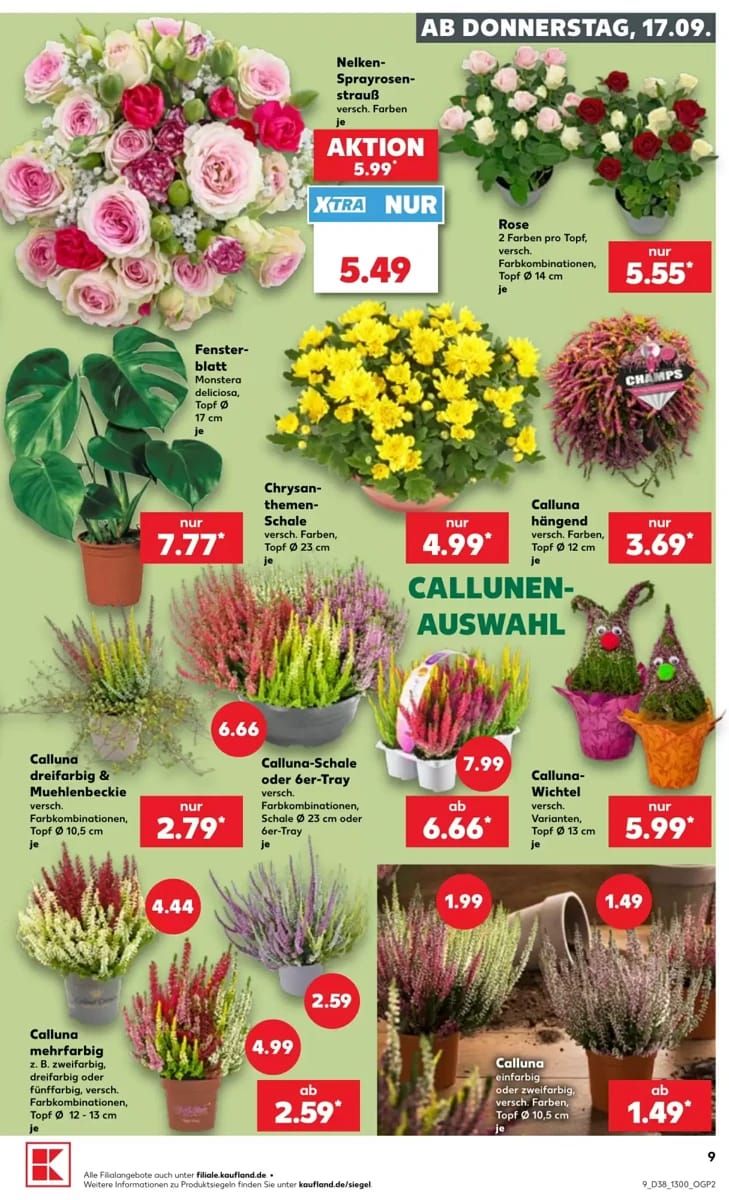 Tilbudsavis fra Kaufland, side 9 af 66