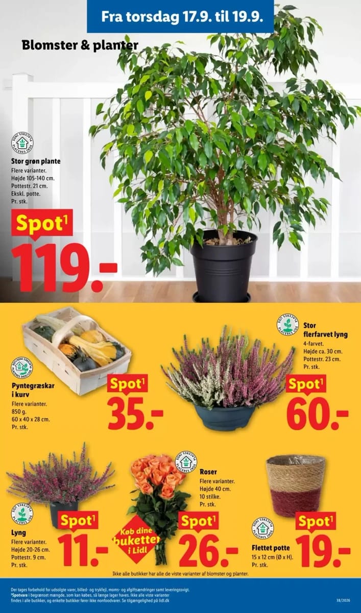 Tilbudsavis fra Lidl, side 11 af 42