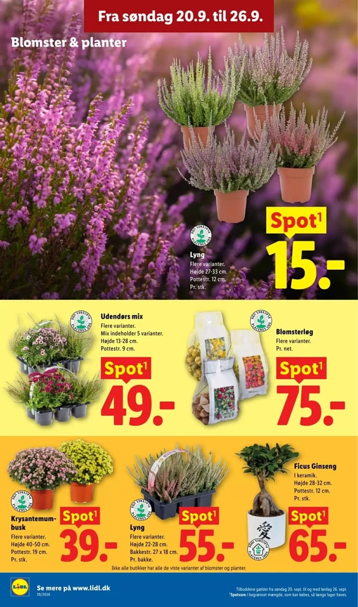 Tilbudsavis fra Lidl, side 35 af 41