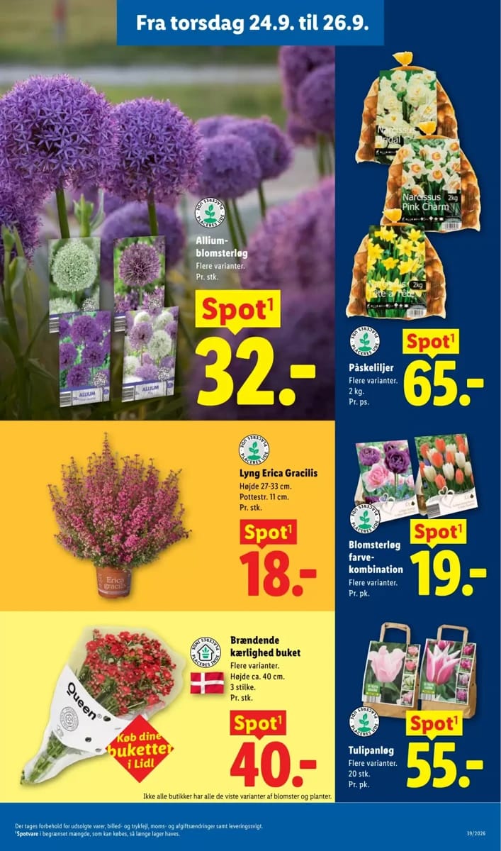 Tilbudsavis fra Lidl, side 36 af 41
