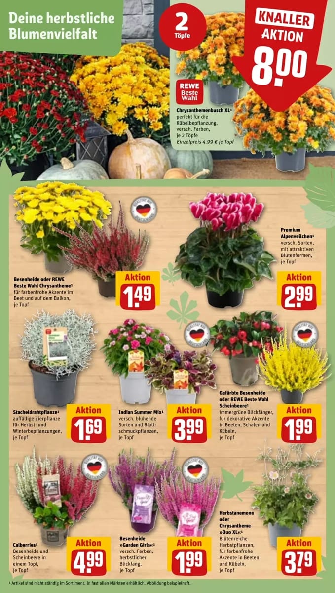 Tilbudsavis fra REWE, side 6 af 33